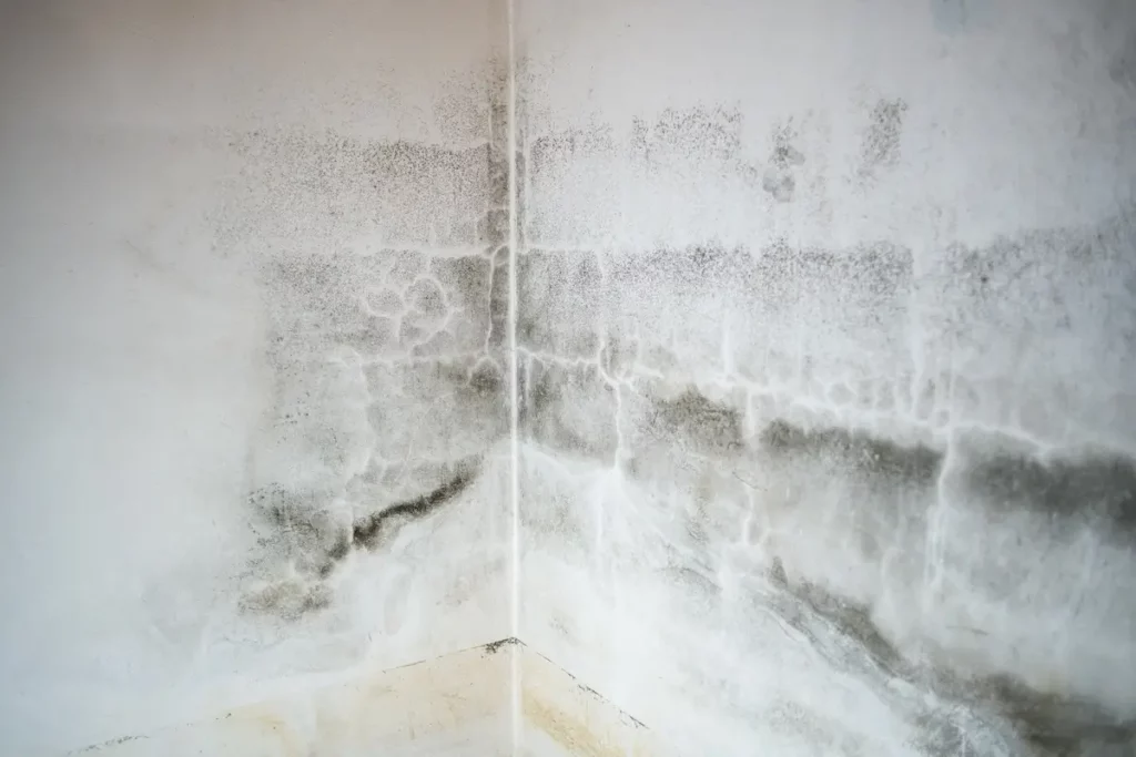 Abwasserrohr abdichten Schimmelbildung an der Wand