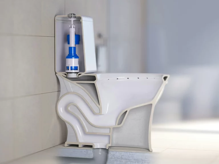 Toilette in de helfe geteilt, damit man das Abflussrohr dort sieht – Toilettenabfluss reinigen