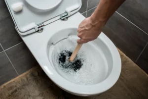 Mit einem Pömpel kann die Verstopfung in der Toilette gelöst werden